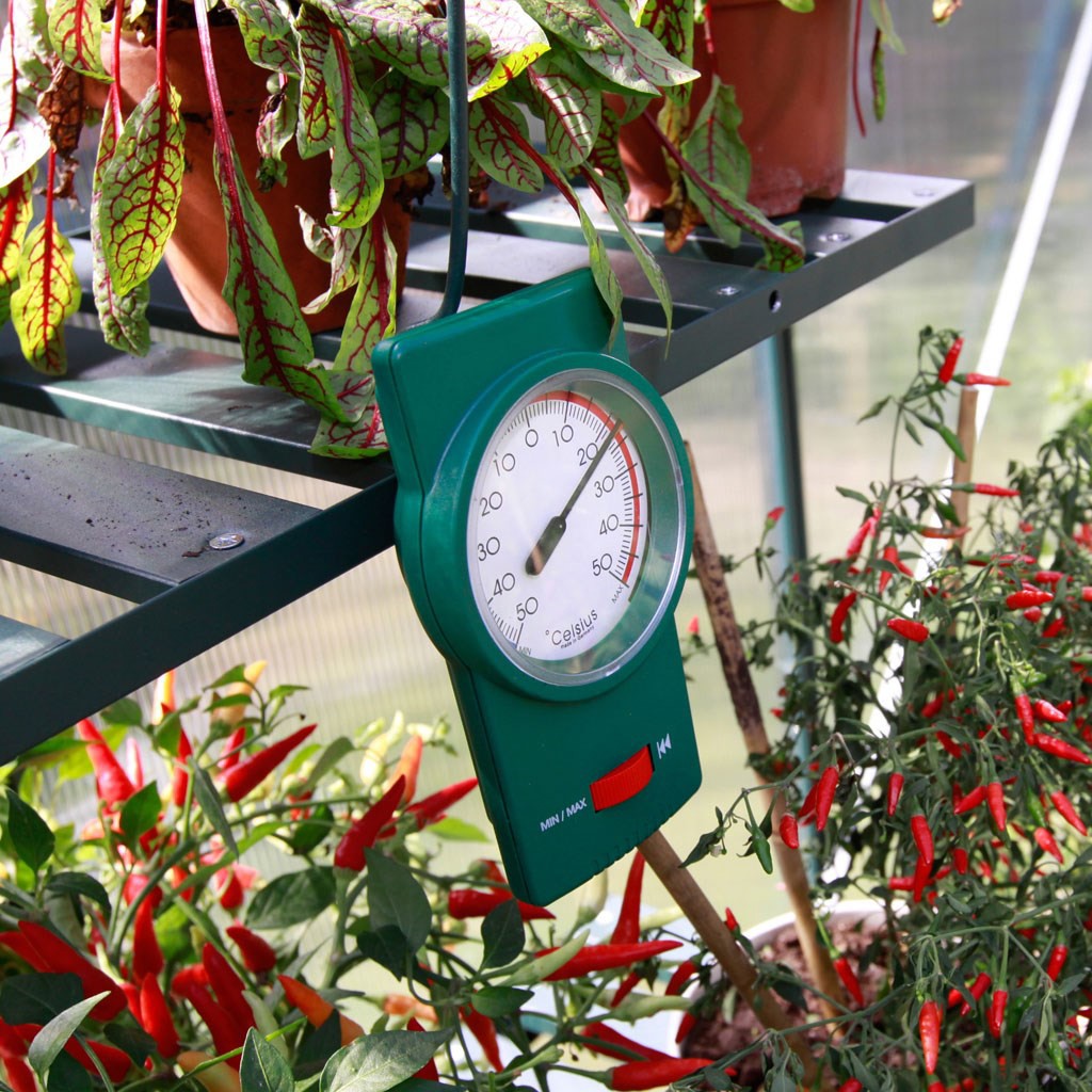 Bonuspaket bei Vitavia Gewächshaus (Bestellungen ab 699,00 €) Bonuspaket bei Vitavia Gewächshaus (Bestellungen ab 699,00 €)